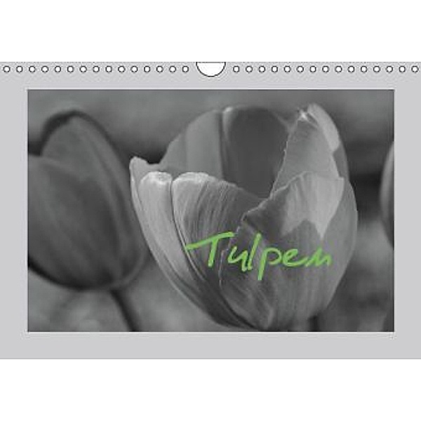 Tulpen - Blumen des Frühlings (Wandkalender 2016 DIN A4 quer), Sabine Reuke