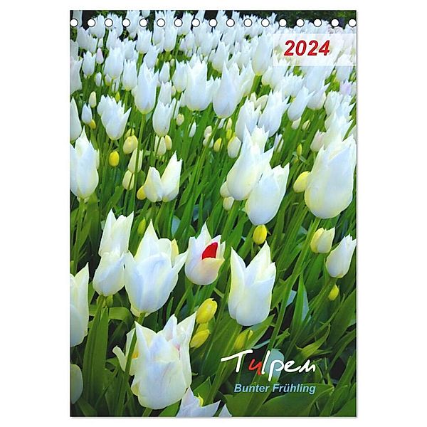 Tulpen. Bunter Frühling (Tischkalender 2024 DIN A5 hoch), CALVENDO Monatskalender, Eugeniya Kareva