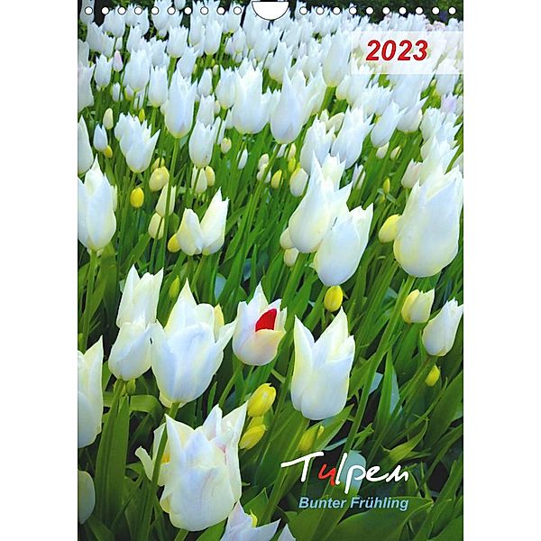 Tulpen. Bunter Frühling (Wandkalender 2023 DIN A4 hoch), Eugeniya Kareva
