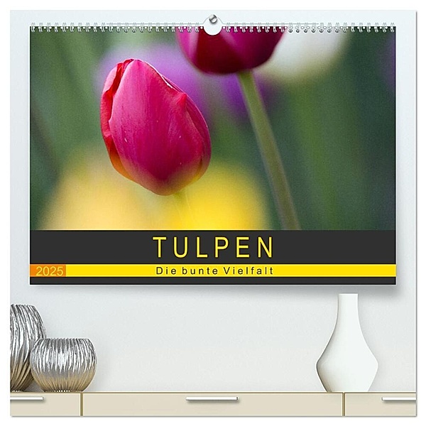 Tulpen - die bunte Vielfalt (hochwertiger Premium Wandkalender 2025 DIN A2 quer), Kunstdruck in Hochglanz, Calvendo, Peter Schürholz
