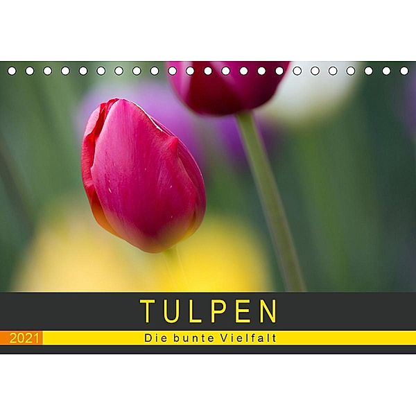 Tulpen - die bunte Vielfalt (Tischkalender 2021 DIN A5 quer), Peter Schürholz