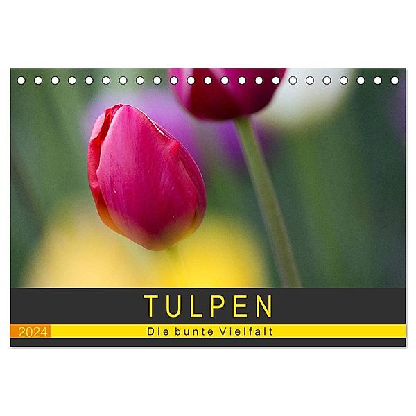 Tulpen - die bunte Vielfalt (Tischkalender 2024 DIN A5 quer), CALVENDO Monatskalender, Peter Schürholz