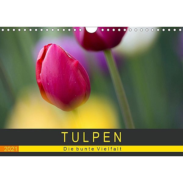 Tulpen - die bunte Vielfalt (Wandkalender 2021 DIN A4 quer), Peter Schürholz