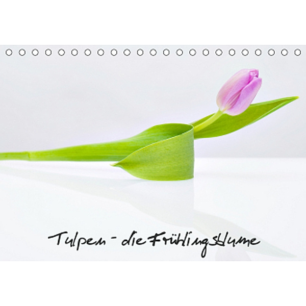 Tulpen - die Frühlingsblume (Tischkalender 2020 DIN A5 quer)