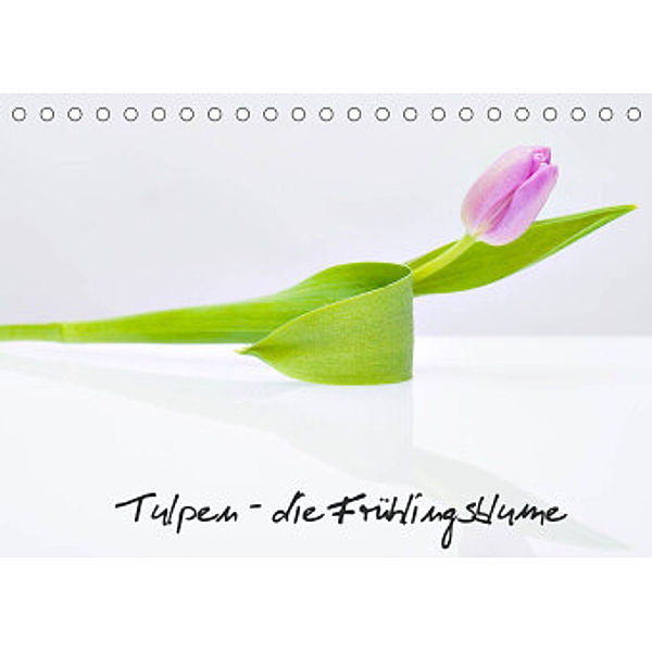 Tulpen - die Frühlingsblume (Tischkalender 2022 DIN A5 quer), Immephotography