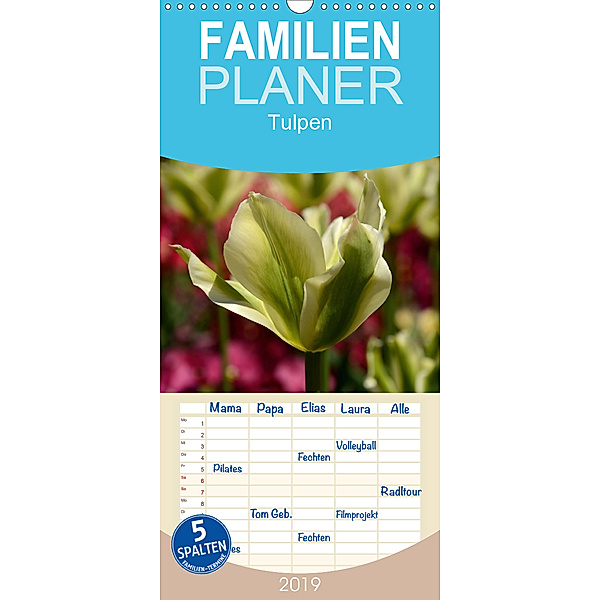 Tulpen - Familienplaner hoch (Wandkalender 2019 , 21 cm x 45 cm, hoch), Willi Haas