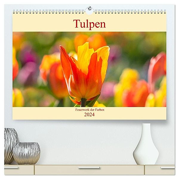 Tulpen - Feuerwerk der Farben (hochwertiger Premium Wandkalender 2024 DIN A2 quer), Kunstdruck in Hochglanz, Monika Scheurer