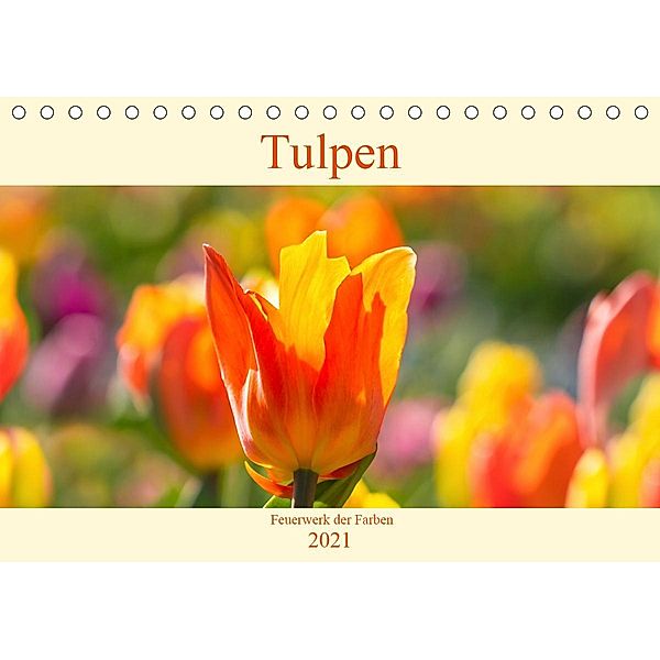Tulpen - Feuerwerk der Farben (Tischkalender 2021 DIN A5 quer), Monika Scheurer