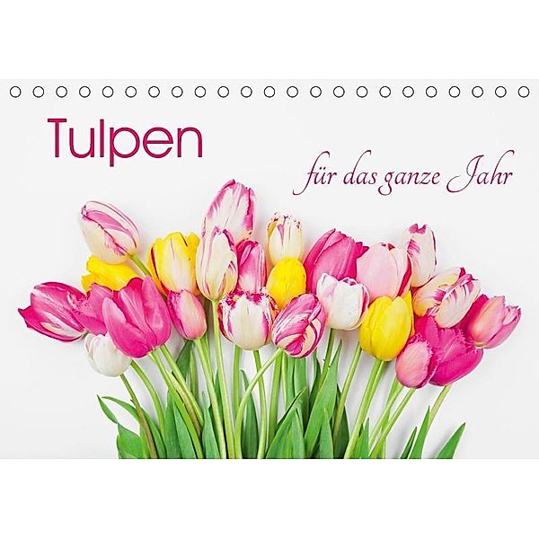 Tulpen für das ganze Jahr (Tischkalender 2019 DIN A5 quer), Gaby Wojciech
