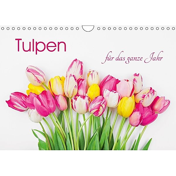 Tulpen für das ganze Jahr (Wandkalender 2018 DIN A4 quer), Gaby Wojciech