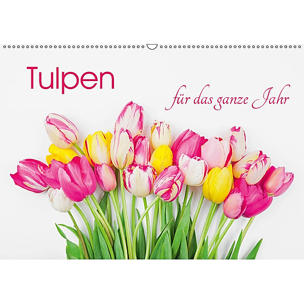Tulpen für das ganze Jahr (Wandkalender 2019 DIN A2 quer), Gaby Wojciech