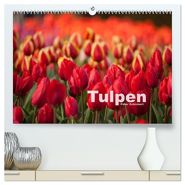 Tulpen (hochwertiger Premium Wandkalender 2024 DIN A2 quer), Kunstdruck in Hochglanz, Peter Schickert