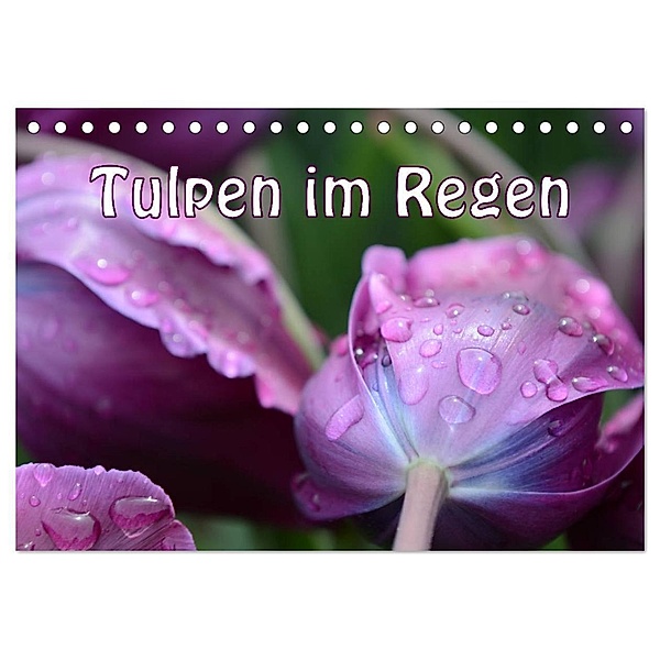 Tulpen im Regen (Tischkalender 2024 DIN A5 quer), CALVENDO Monatskalender, Gugigei