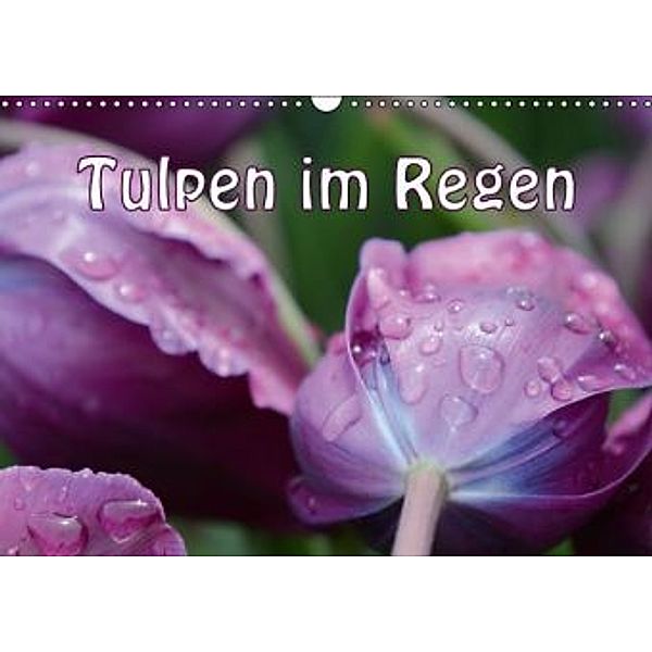 Tulpen im Regen (Wandkalender 2015 DIN A3 quer), GUGIGEI