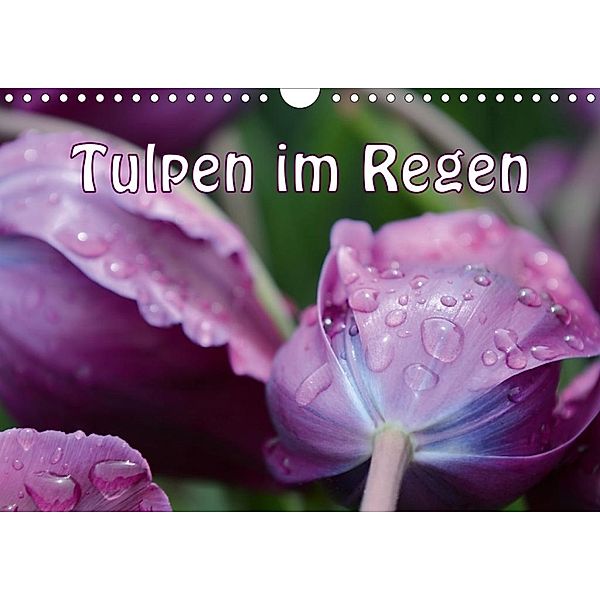 Tulpen im Regen (Wandkalender 2020 DIN A4 quer)