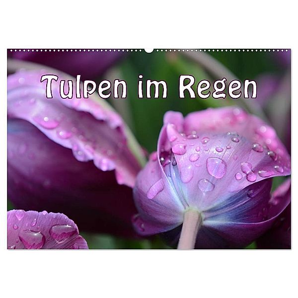 Tulpen im Regen (Wandkalender 2024 DIN A2 quer), CALVENDO Monatskalender, Gugigei