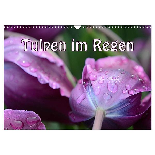 Tulpen im Regen (Wandkalender 2024 DIN A3 quer), CALVENDO Monatskalender, Gugigei