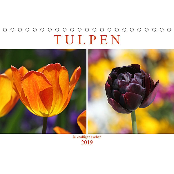 Tulpen in knalligen Farben (Tischkalender 2019 DIN A5 quer), SchnelleWelten