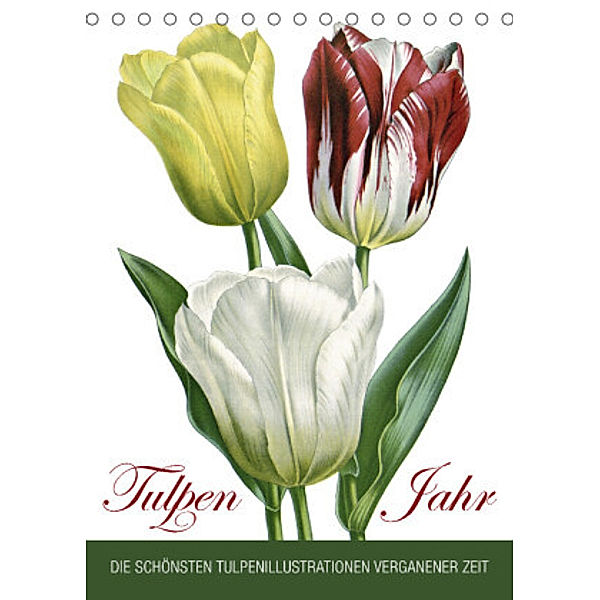 Tulpen - Jahr (Tischkalender 2022 DIN A5 hoch), Bilder: bilwissedition.com  Layout: Babette Reek