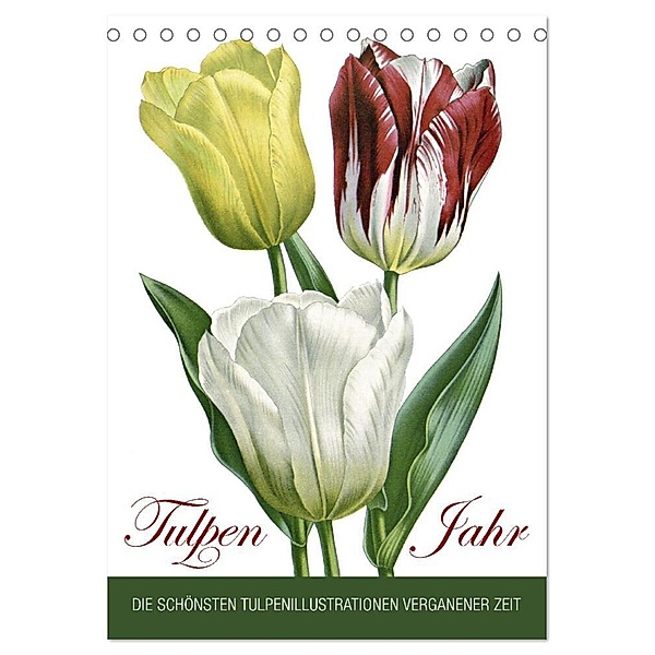Tulpen - Jahr (Tischkalender 2024 DIN A5 hoch), CALVENDO Monatskalender, Babette Reek