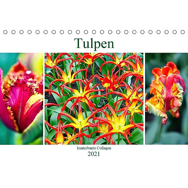 Tulpen - kunterbunte Collagen (Tischkalender 2021 DIN A5 quer), Nina Schwarze