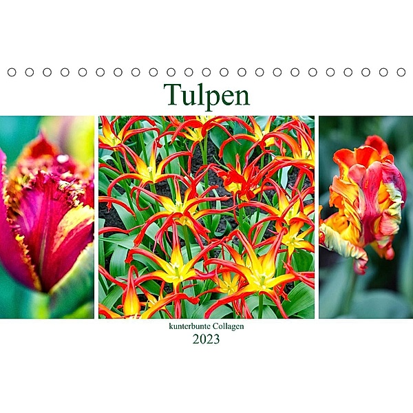 Tulpen - kunterbunte Collagen (Tischkalender 2023 DIN A5 quer), Nina Schwarze