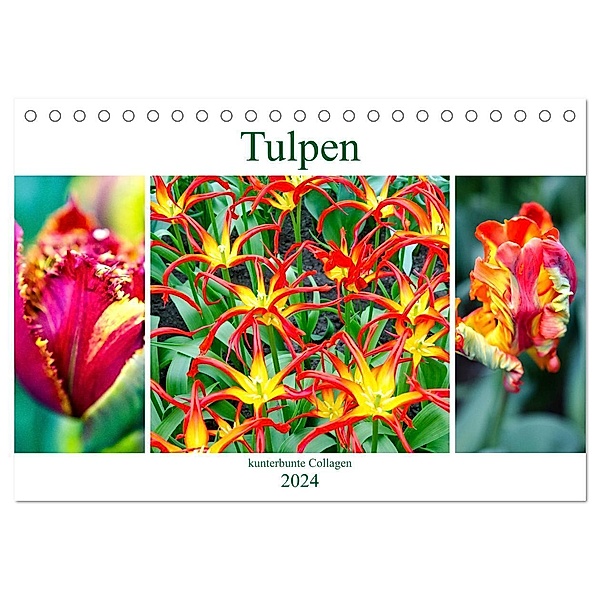 Tulpen - kunterbunte Collagen (Tischkalender 2024 DIN A5 quer), CALVENDO Monatskalender, Nina Schwarze