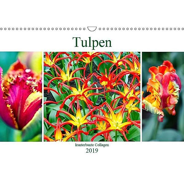 Tulpen - kunterbunte Collagen (Wandkalender 2019 DIN A3 quer), Nina Schwarze