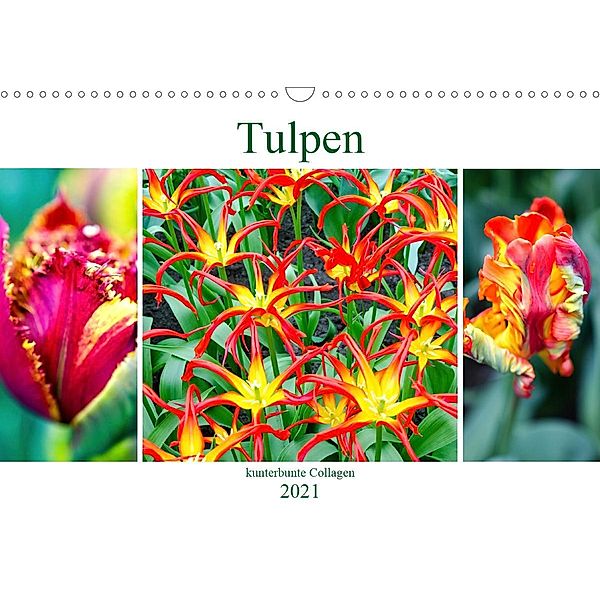 Tulpen - kunterbunte Collagen (Wandkalender 2021 DIN A3 quer), Nina Schwarze