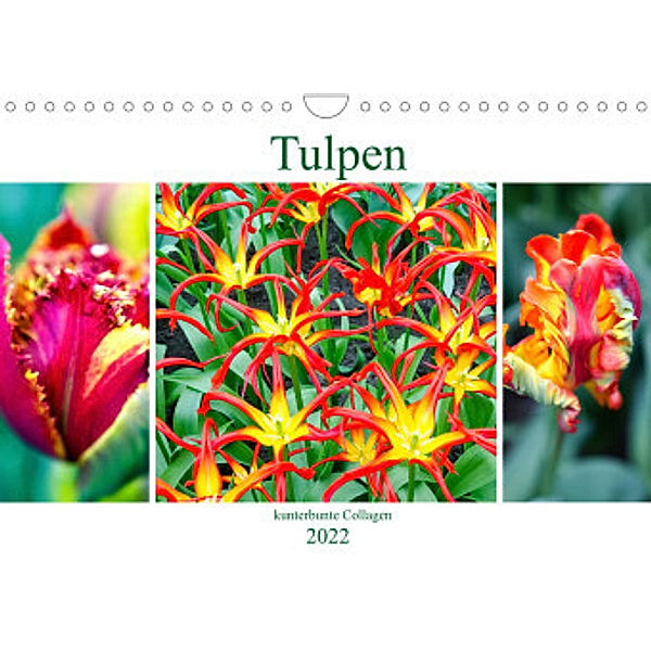 Tulpen - kunterbunte Collagen (Wandkalender 2022 DIN A4 quer), Nina Schwarze