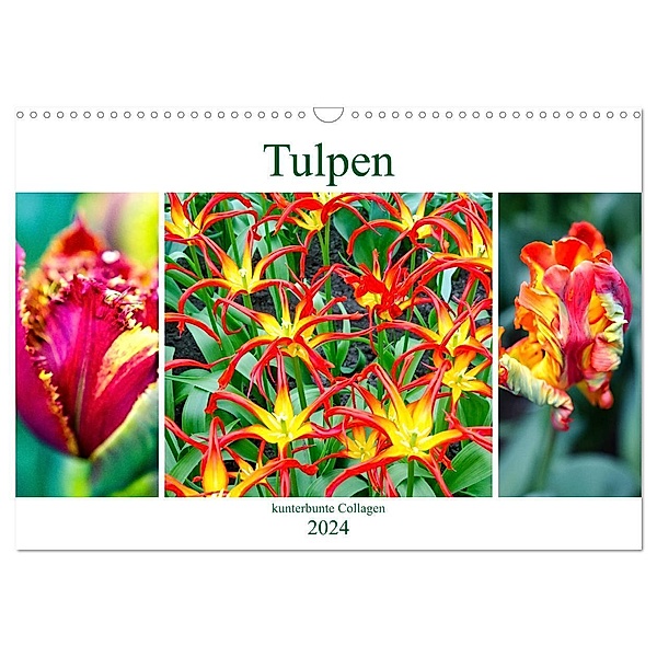 Tulpen - kunterbunte Collagen (Wandkalender 2024 DIN A3 quer), CALVENDO Monatskalender, Nina Schwarze