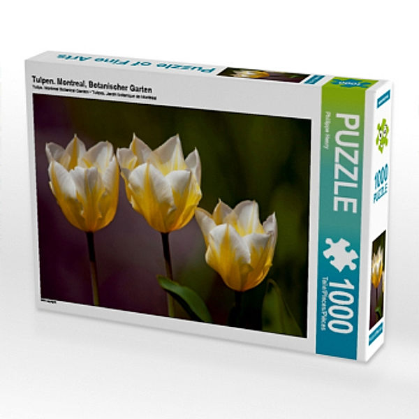 Tulpen. Montreal, Botanischer Garten (Puzzle), Philippe Henry