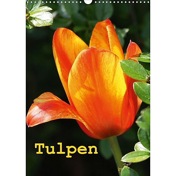 Tulpen (Posterbuch DIN A4 hoch), LoRo-Artwork