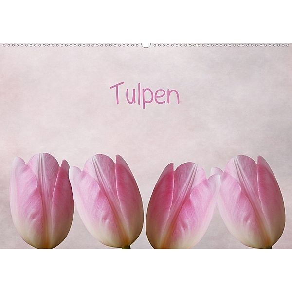 Tulpen (Posterbuch DIN A4 quer), Anja Otto