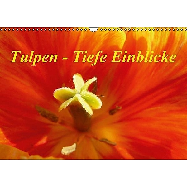 Tulpen - Tiefe Einblicke (Wandkalender 2016 DIN A3 quer), Sabine Olschner