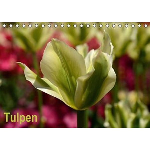 Tulpen (Tischkalender 2015 DIN A5 quer), Willi Haas