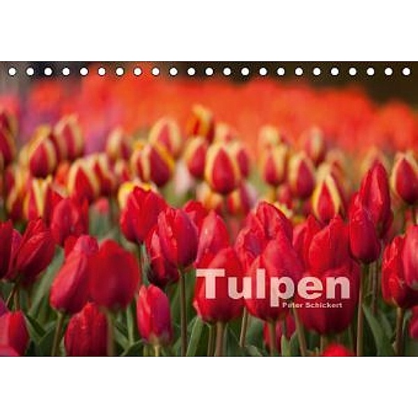 Tulpen (Tischkalender 2015 DIN A5 quer), Peter Schickert