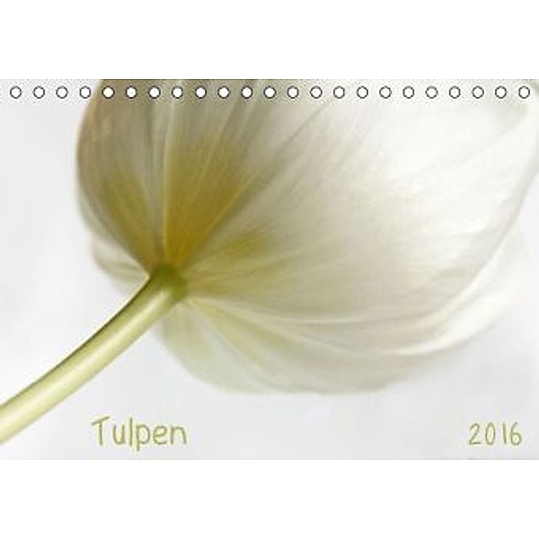 Tulpen (Tischkalender 2016 DIN A5 quer), Claudia Möckel, Lucy L!u