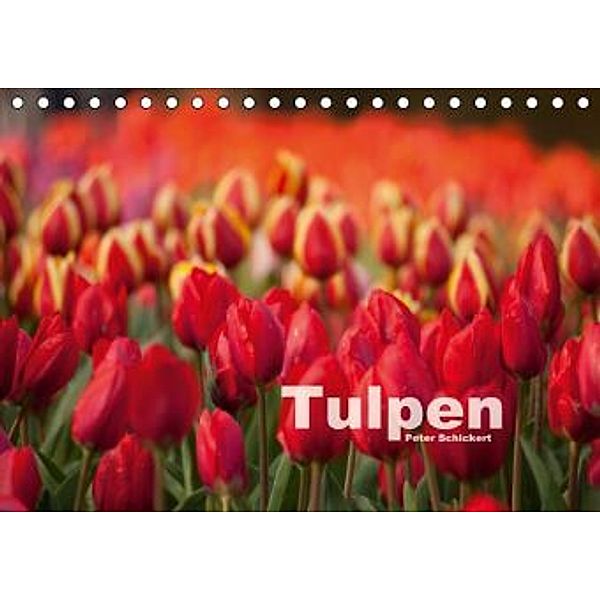 Tulpen (Tischkalender 2016 DIN A5 quer), Peter Schickert