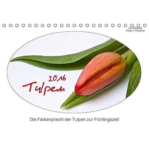 Tulpen (Tischkalender 2016 DIN A5 quer), Angela Dölling