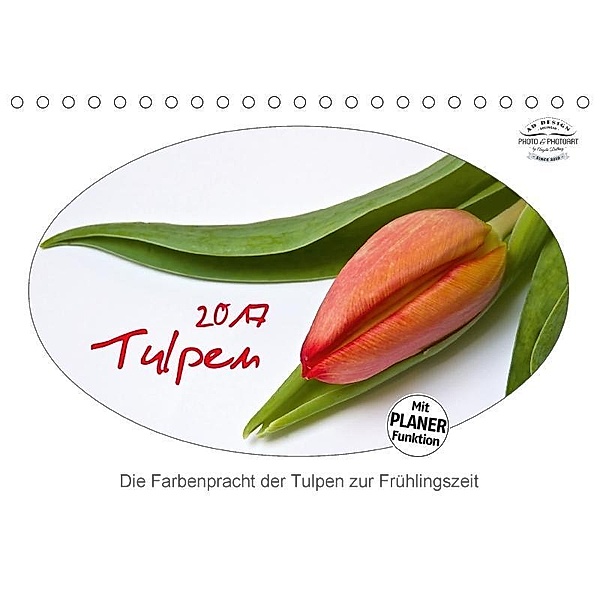 Tulpen (Tischkalender 2017 DIN A5 quer), Angela Dölling