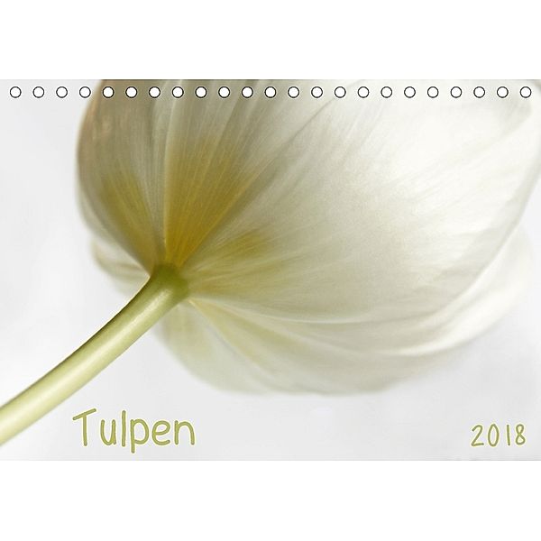 Tulpen (Tischkalender 2018 DIN A5 quer), Claudia Möckel / Lucy L!u