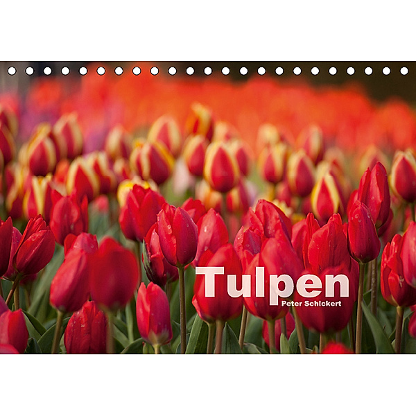 Tulpen (Tischkalender 2018 DIN A5 quer) Dieser erfolgreiche Kalender wurde dieses Jahr mit gleichen Bildern und aktualis, Peter Schickert
