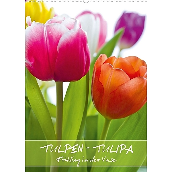 Tulpen - Tulipa (Posterbuch DIN A3 hoch), Gerd Evermann