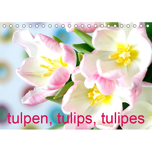 Tulpen, Tulips, Tulipes (Tischkalender 2019 DIN A5 quer), Gisela Kruse