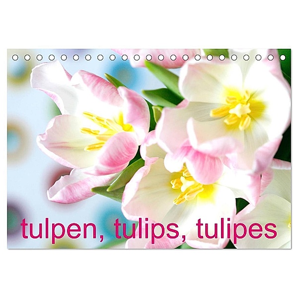 Tulpen, Tulips, Tulipes (Tischkalender 2024 DIN A5 quer), CALVENDO Monatskalender, Gisela Kruse