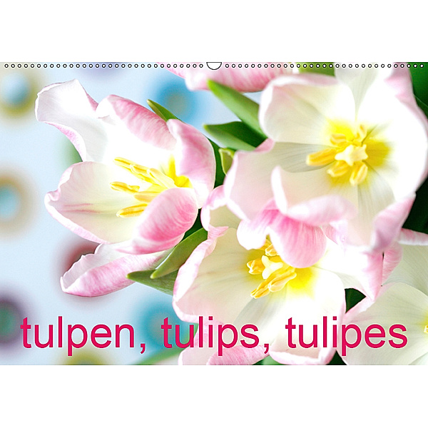 Tulpen, Tulips, Tulipes (Wandkalender 2019 DIN A2 quer), Gisela Kruse