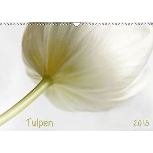 Tulpen (Wandkalender 2015 DIN A3 quer), Lucy L!u