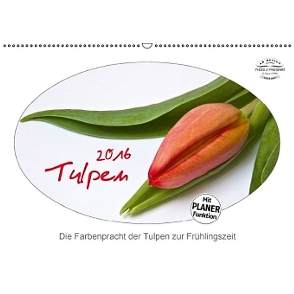 Tulpen (Wandkalender 2016 DIN A2 quer), Angela Dölling