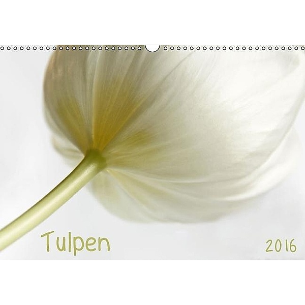 Tulpen (Wandkalender 2016 DIN A3 quer), Claudia Möckel, Lucy L!u